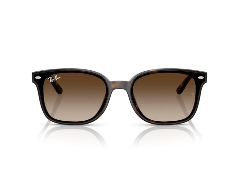 Ray-Ban Sonnenbrille RB 4461D 710/13