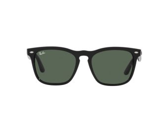 Ray-Ban Iris Sonnenbrille RB 4471 6629/71