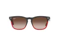 Ray-Ban Steve Sonnenbrille 4487 663113