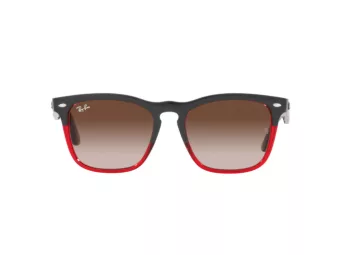 Ray-Ban Steve Sonnenbrille 4487 663113