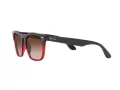 Ray-Ban Steve Sonnenbrille 4487 663113