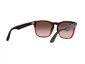Ray-Ban Steve Sonnenbrille 4487 663113