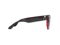 Ray-Ban Steve Sonnenbrille 4487 663113