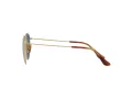 Ray-Ban Round Sonnenbrille RB 8247 9217T0