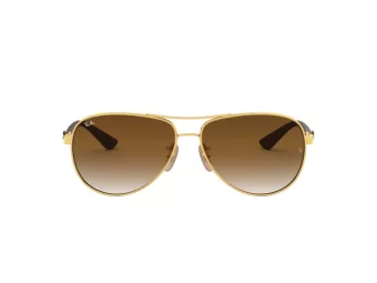 Ray-Ban Carbon Fibre Sonnenbrille RB 8313 001/51