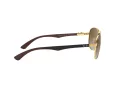 Ray-Ban Carbon Fibre Sonnenbrille RB 8313 001/51