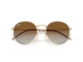 Ray-Ban Round Reverse Sonnenbrille RB R0103S 001/CB 53