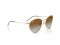 Ray-Ban Round Reverse Sonnenbrille RB R0103S 001/CB 53