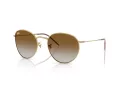 Ray-Ban Round Reverse Sonnenbrille RB R0103S 001/CB 55