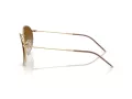 Ray-Ban Round Reverse Sonnenbrille RB R0103S 001/CB 55