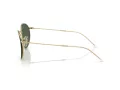 Ray-Ban Round Reverse Sonnenbrille RB R0103S 001/VR 53