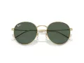 Ray-Ban Round Reverse Sonnenbrille RB R0103S 001/VR 53