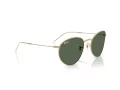 Ray-Ban Round Reverse Sonnenbrille RB R0103S 001/VR 53