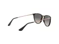 Ray-Ban Junior Erika Sonnenbrille RJ 9060S 704911