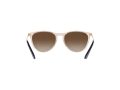 Ray-Ban Junior Erika Sonnenbrille RJ 9060S 7108/13
