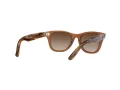 Ray-Ban Junior Wayfarer Sonnenbrille RJ 9066S 7127/13