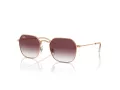 Ray-Ban Sonnenbrille RJ 9594S 291/8H