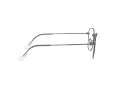 Ray-Ban Frank Brillen RX 3857V 2502 51