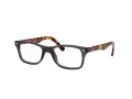 Ray-Ban Brillen RX 5228 5629 50