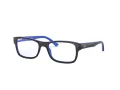 Ray-Ban Brillen RX 5268 5179 50