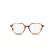Ray-Ban Thalia Brillen RX 5395 2144 49