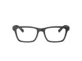 Ray-Ban Brillen RX 7025 2077 55