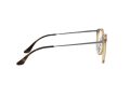 Ray-Ban Brillen RX 7140 2012