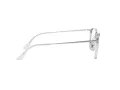 Ray-Ban Brillen RX 7164 2001