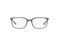 Ray-Ban Brillen RX 7208 5521 52
