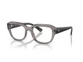 Ray-Ban Leonid Brillen RX 0RX7225 8316