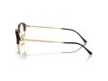 Ray-Ban Brillen RX 0RX7229 2012