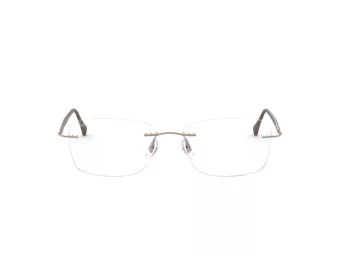 Ray-Ban Brillen RX 8725 1131 52