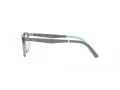 Ray-Ban Brillen RY 1614D 3908