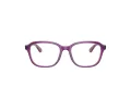 Ray-Ban Brillen RY 1627 3944