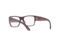 Ray-Ban Wayfarer Nomad Jr Brillen RY 9287V 3902 48