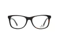 Rodenstock Brillen R 5302 B