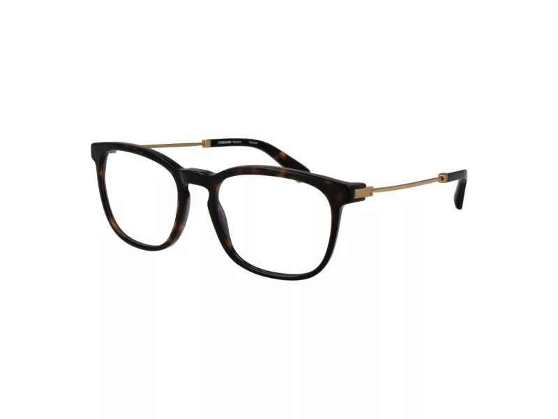 Rodenstock Brillen R 8029 B