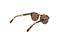 Superdry Sonnenbrille SDS 5012 102