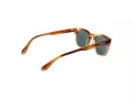 Superdry Sonnenbrille SDS 5043 194