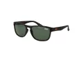 Superdry Sonnenbrille SDS Rockstar 122