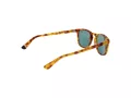 Superdry Sonnenbrille SDS Roku 170