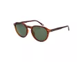 Skechers Sonnenbrille SE 6207 48R