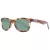 Skechers Sonnenbrille SE 6216 56R
