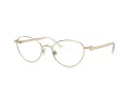 Swarovski Brillen SK 1002 4004 51