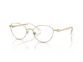 Swarovski Brillen SK 1002 4004 51