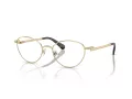 Swarovski Brillen SK 1002 4013 53