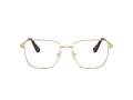 Swarovski Brillen SK 1003 4013 53