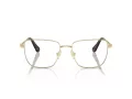 Swarovski Brillen SK 1003 4013 55
