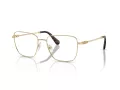 Swarovski Brillen SK 1003 4013 55