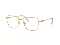 Swarovski Brillen SK 1003 4021 53